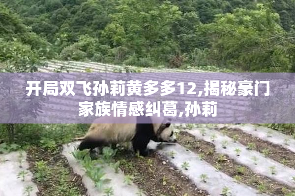 开局双飞孙莉黄多多12,揭秘豪门家族情感纠葛,孙莉
