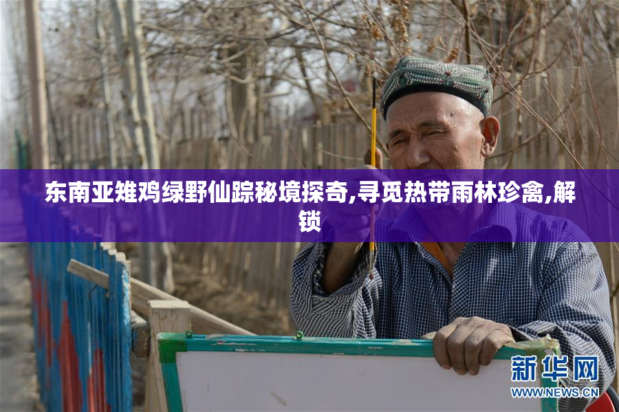 东南亚雉鸡绿野仙踪秘境探奇,寻觅热带雨林珍禽,解锁