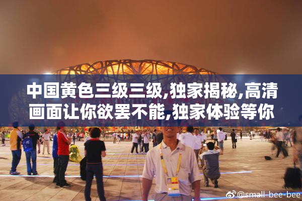 中国黄色三级三级,独家揭秘,高清画面让你欲罢不能,独家体验等你来