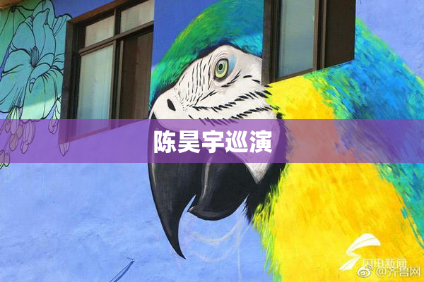 陈昊宇巡演