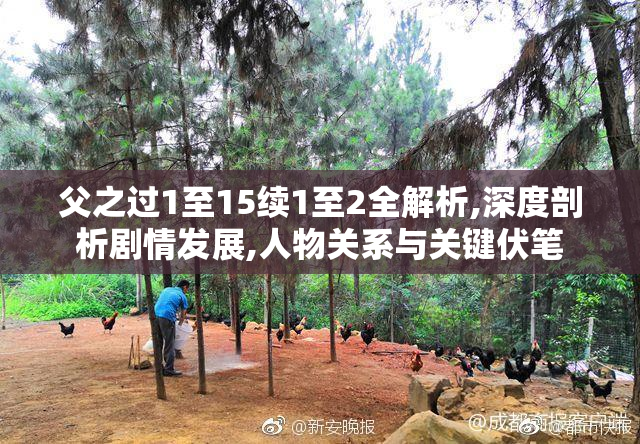 父之过1至15续1至2全解析,深度剖析剧情发展,人物关系与关键伏笔