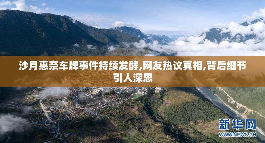 沙月惠奈车牌事件持续发酵,网友热议真相,背后细节引人深思