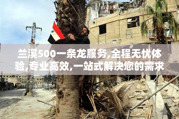 兰溪500一条龙服务,全程无忧体验,专业高效,一站式解决您的需求