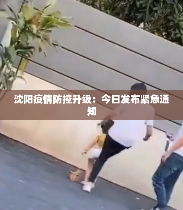 沈阳疫情防控升级：今日发布紧急通知