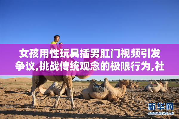 女孩用性玩具插男肛门视频引发争议,挑战传统观念的极限行为,社会