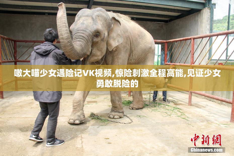 嗷大喵少女遇险记VK视频,惊险刺激全程高能,见证少女勇敢脱险的