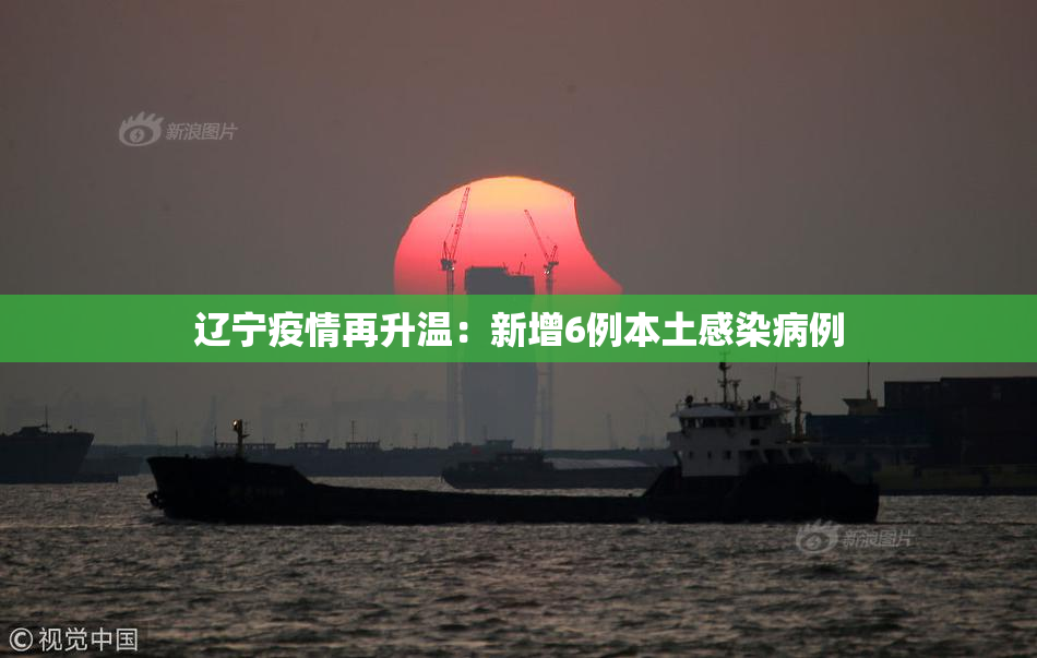 辽宁疫情再升温：新增6例本土感染病例