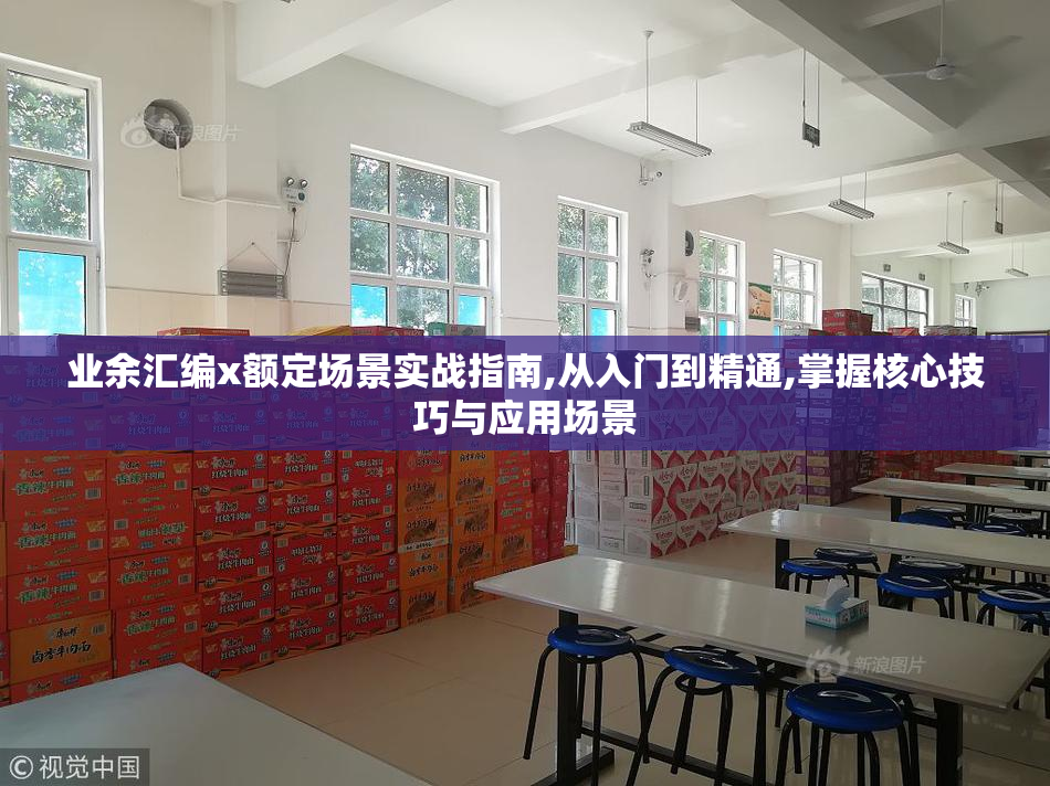业余汇编x额定场景实战指南,从入门到精通,掌握核心技巧与应用场景