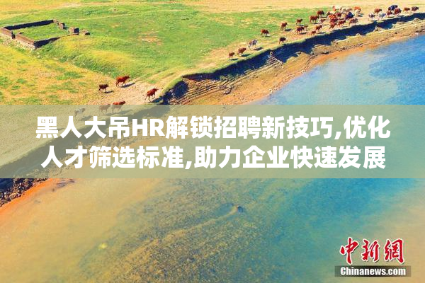黑人大吊HR解锁招聘新技巧,优化人才筛选标准,助力企业快速发展
