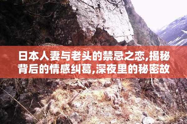 日本人妻与老头的禁忌之恋,揭秘背后的情感纠葛,深夜里的秘密故事