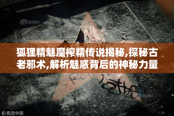 狐狸精魅魔榨精传说揭秘,探秘古老邪术,解析魅惑背后的神秘力量