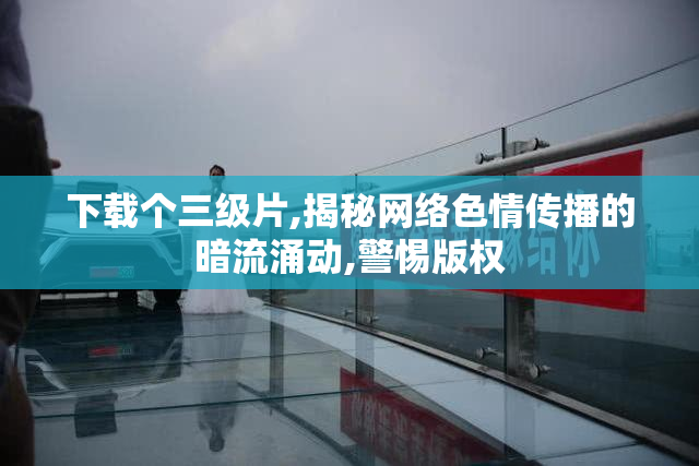 下载个三级片,揭秘网络色情传播的暗流涌动,警惕版权