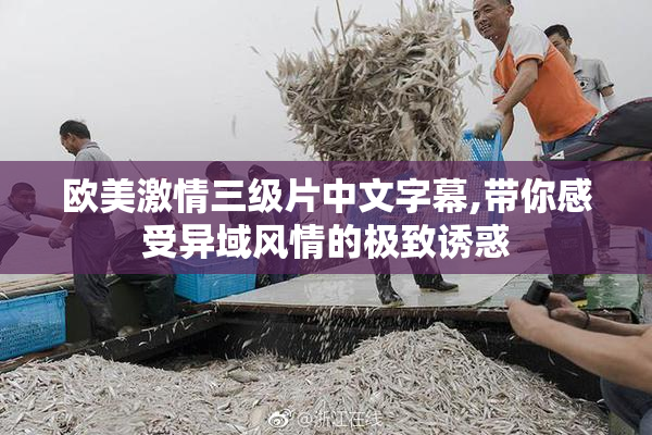 欧美激情三级片中文字幕,带你感受异域风情的极致诱惑