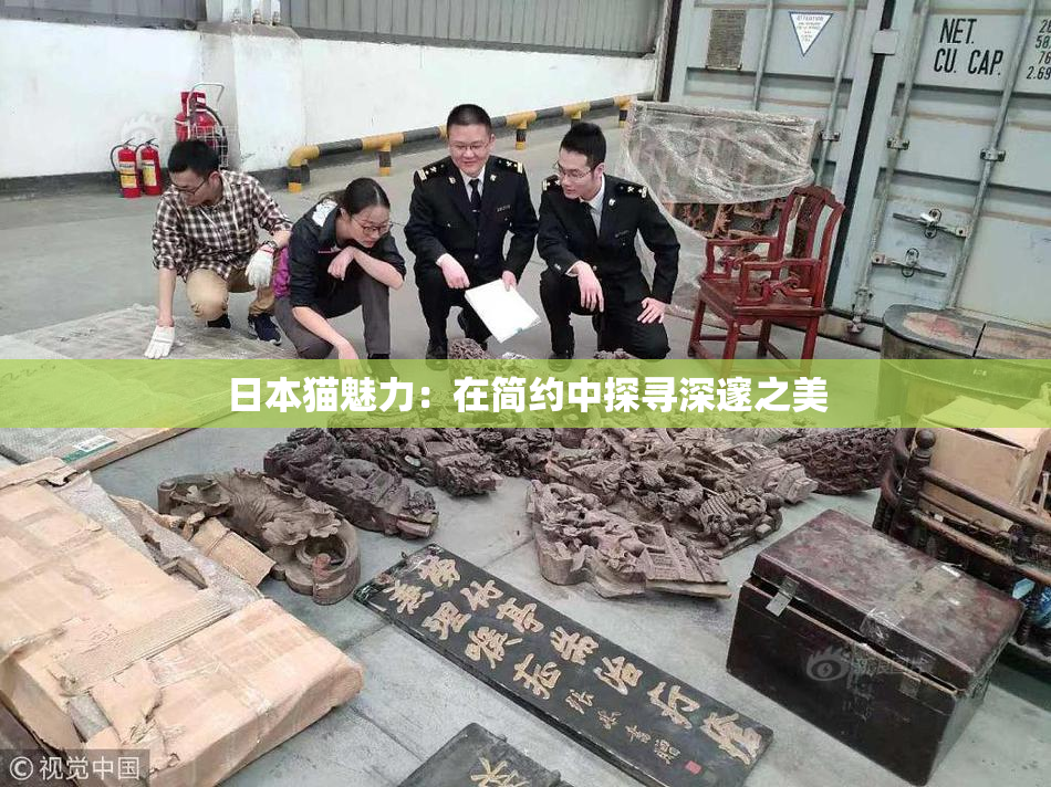日本猫魅力：在简约中探寻深邃之美
