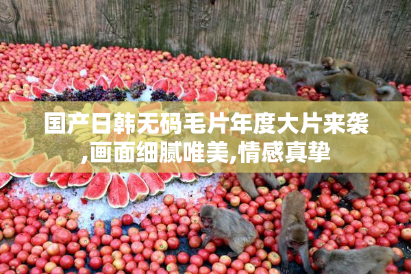 国产日韩无码毛片年度大片来袭,画面细腻唯美,情感真挚