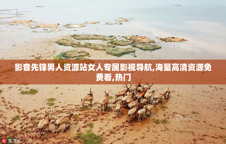 影音先锋男人资源站女人专属影视导航,海量高清资源免费看,热门