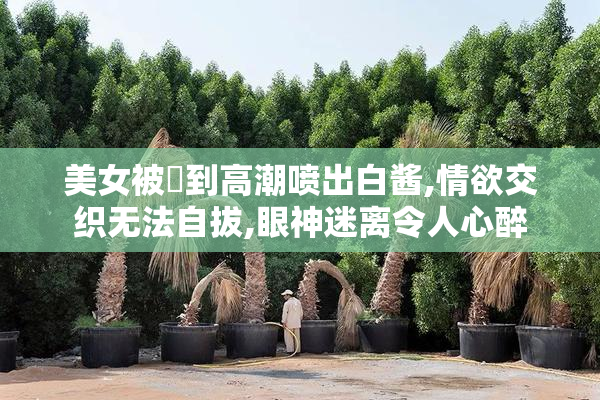 美女被❌到高潮喷出白酱,情欲交织无法自拔,眼神迷离令人心醉