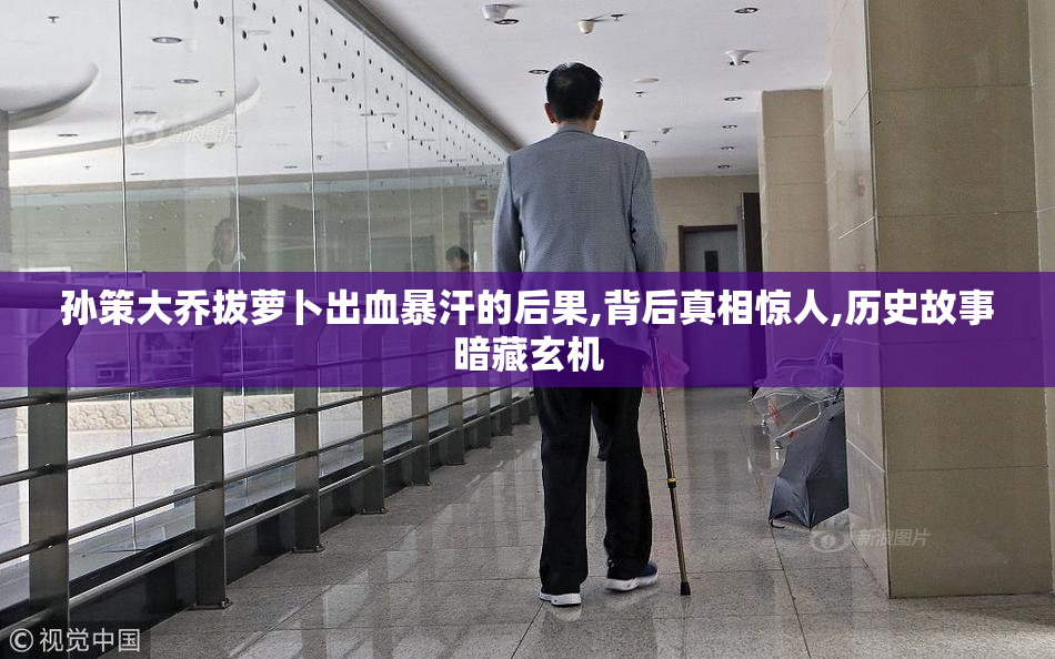 孙策大乔拔萝卜出血暴汗的后果,背后真相惊人,历史故事暗藏玄机