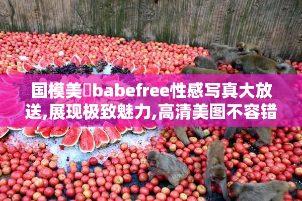 国模美泬babefree性感写真大放送,展现极致魅力,高清美图不容错过