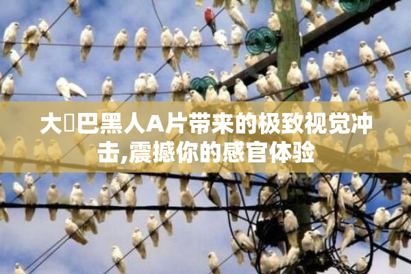 大鷄巴黑人A片带来的极致视觉冲击,震撼你的感官体验