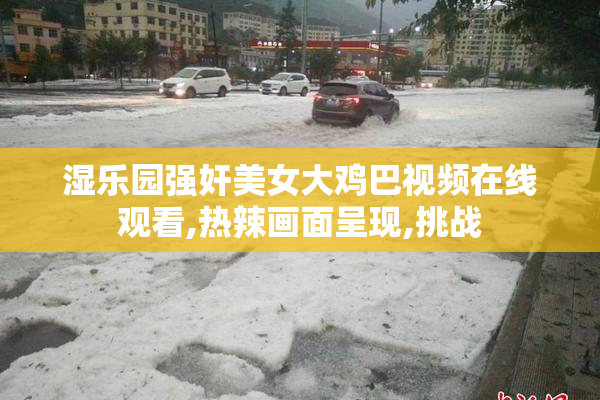 湿乐园强奸美女大鸡巴视频在线观看,热辣画面呈现,挑战
