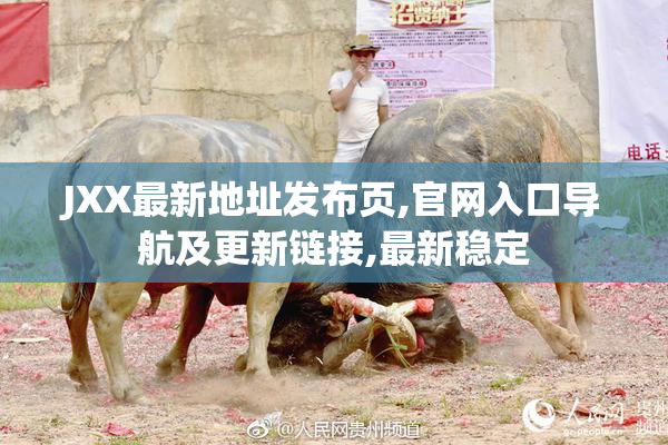 JXX最新地址发布页,官网入口导航及更新链接,最新稳定
