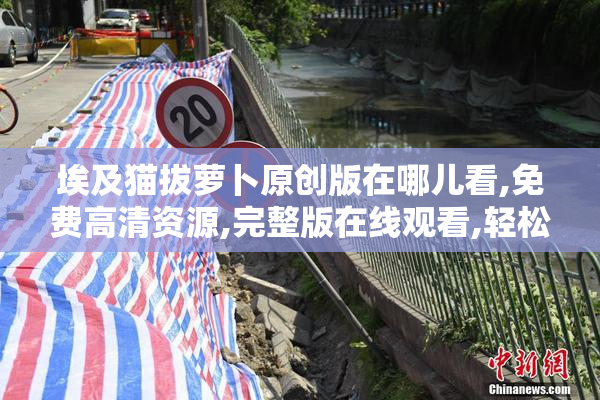 埃及猫拔萝卜原创版在哪儿看,免费高清资源,完整版在线观看,轻松获取