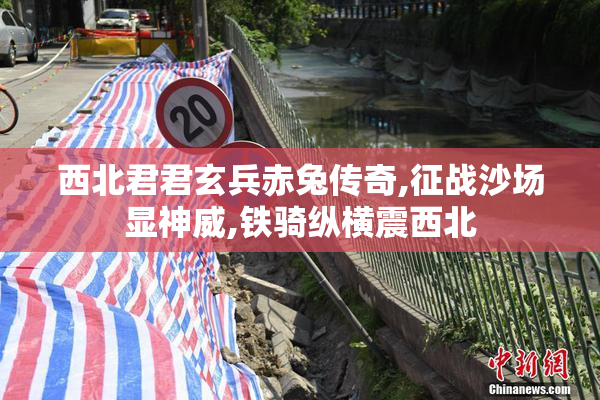 西北君君玄兵赤兔传奇,征战沙场显神威,铁骑纵横震西北