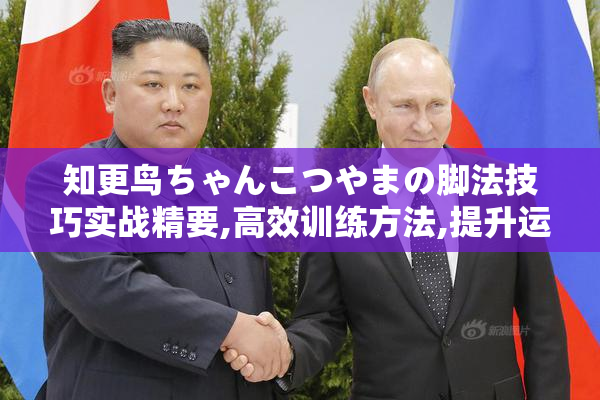知更鸟ちゃんこつやまの脚法技巧实战精要,高效训练方法,提升运动