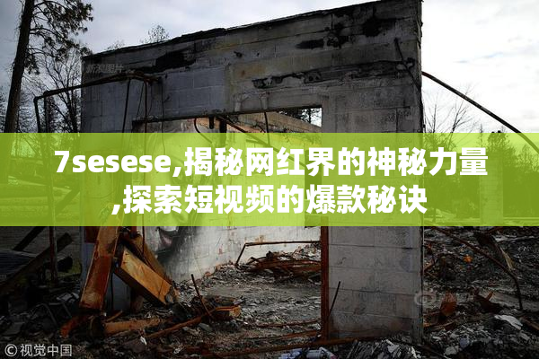 7sesese,揭秘网红界的神秘力量,探索短视频的爆款秘诀