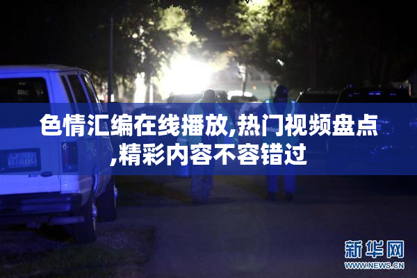 色情汇编在线播放,热门视频盘点,精彩内容不容错过