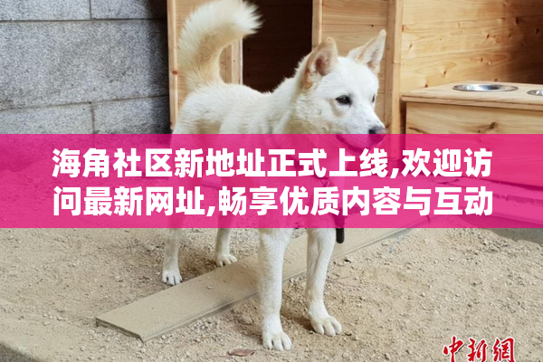海角社区新地址正式上线,欢迎访问最新网址,畅享优质内容与互动体验