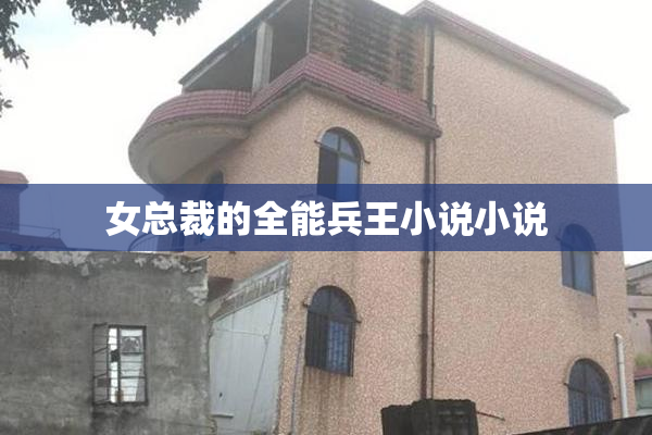 女总裁的全能兵王小说小说