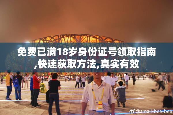 免费已满18岁身份证号领取指南,快速获取方法,真实有效
