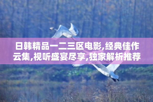 日韩精品一二三区电影,经典佳作云集,视听盛宴尽享,独家解析推荐