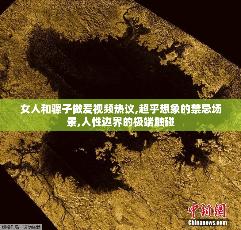 女人和骡子做爰视频热议,超乎想象的禁忌场景,人性边界的极端触碰