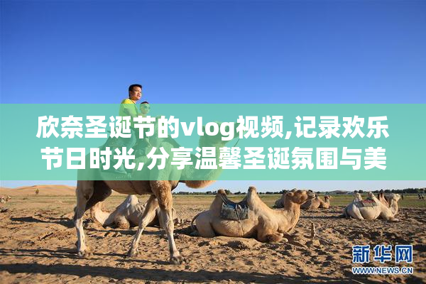欣奈圣诞节的vlog视频,记录欢乐节日时光,分享温馨圣诞氛围与美好