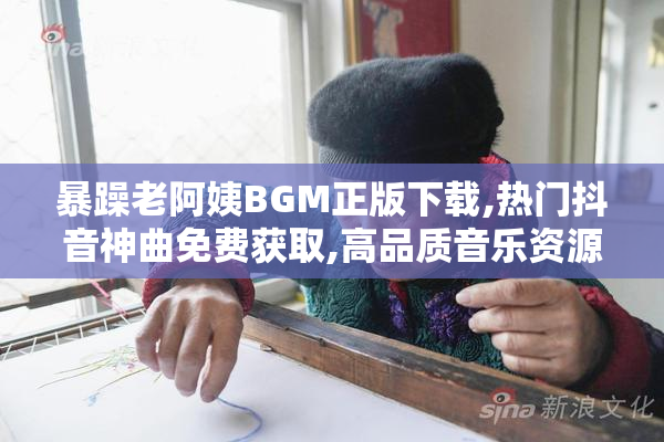 暴躁老阿姨BGM正版下载,热门抖音神曲免费获取,高品质音乐资源一键