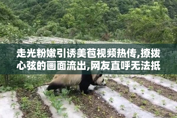 走光粉嫩引诱美苞视频热传,撩拨心弦的画面流出,网友直呼无法抵挡
