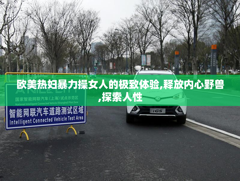 欧美热妇暴力操女人的极致体验,释放内心野兽,探索人性