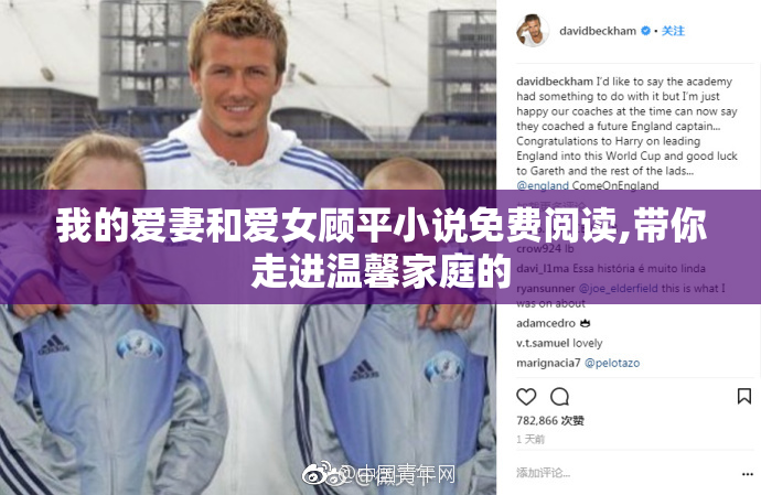 我的爱妻和爱女顾平小说免费阅读,带你走进温馨家庭的