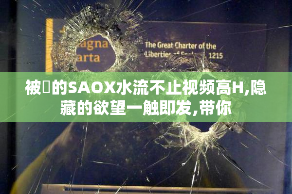 被肏的SAOX水流不止视频高H,隐藏的欲望一触即发,带你