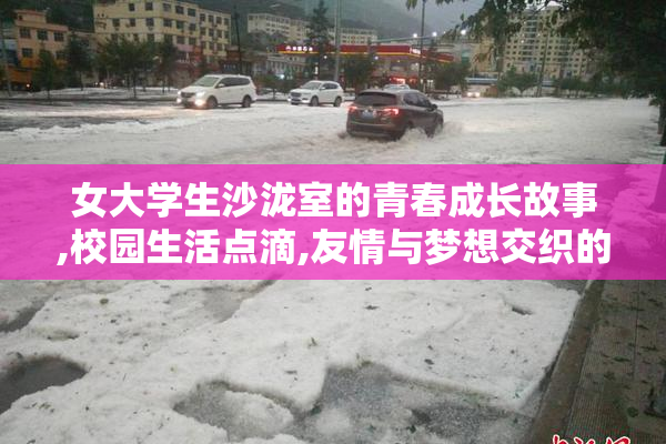 女大学生沙泷室的青春成长故事,校园生活点滴,友情与梦想交织的