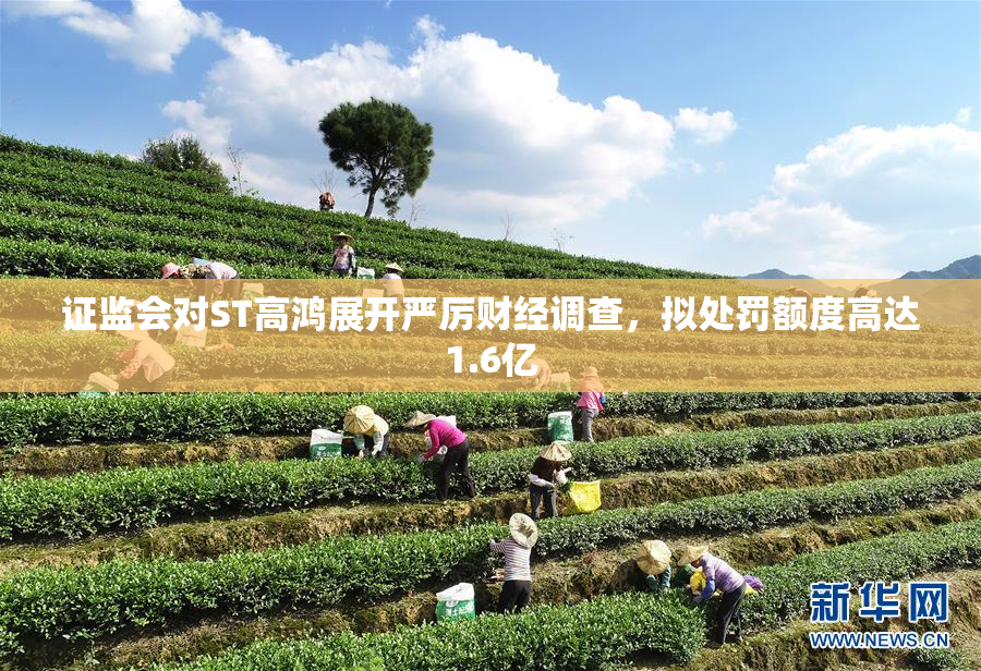 ***对ST高鸿展开严厉财经调查，拟处罚额度高达1.6亿