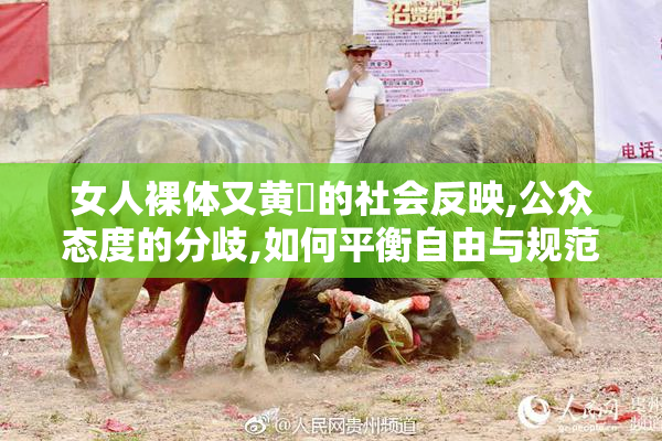女人裸体又黄❌的社会反映,公众态度的分歧,如何平衡自由与规范