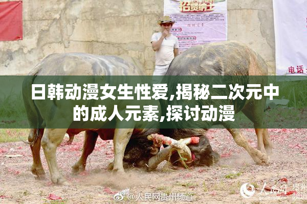 日韩动漫女生性爱,揭秘二次元中的成人元素,探讨动漫
