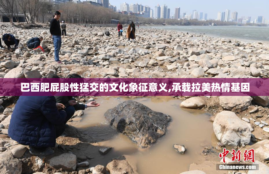 巴西肥屁股性猛交的文化象征意义,承载拉美热情基因