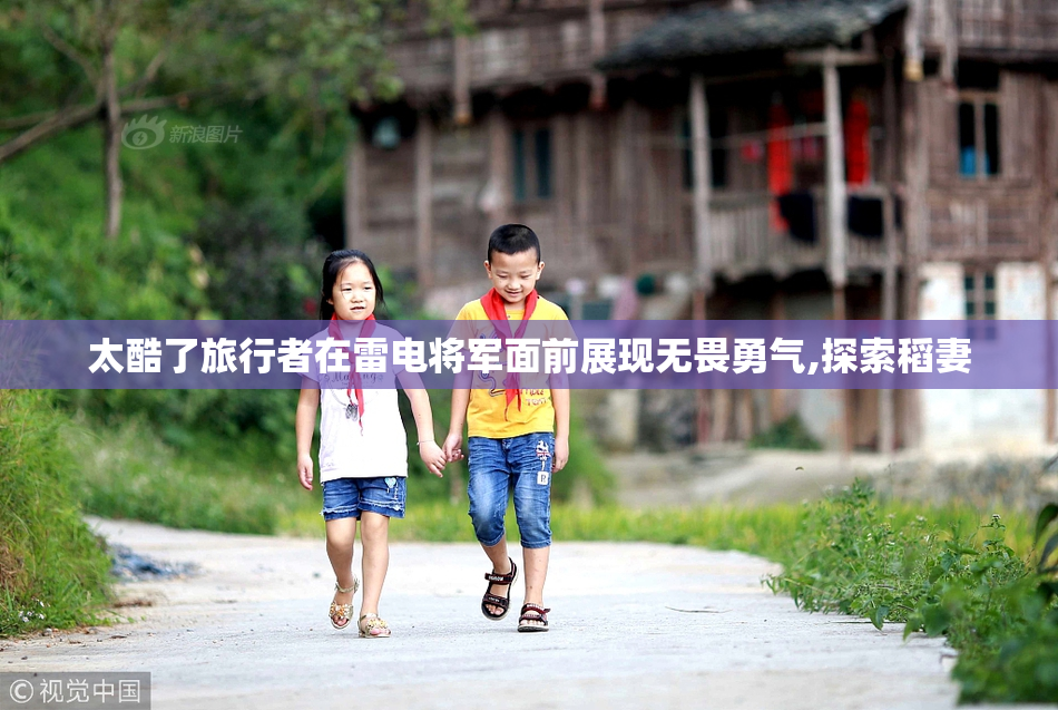 太酷了旅行者在雷电将军面前展现无畏勇气,探索稻妻
