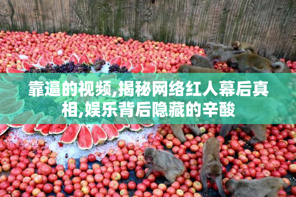 靠逼的视频,揭秘网络红人幕后真相,娱乐背后隐藏的辛酸