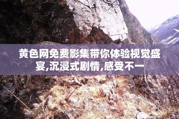 黄色网免费影集带你体验视觉盛宴,沉浸式剧情,感受不一